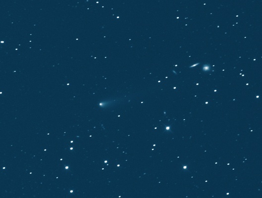 20220130 Comet 116P/Wild